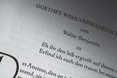 Benjamin Wahlverwandtschaften.jpg