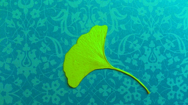 Ginkoblatt_neon.jpg